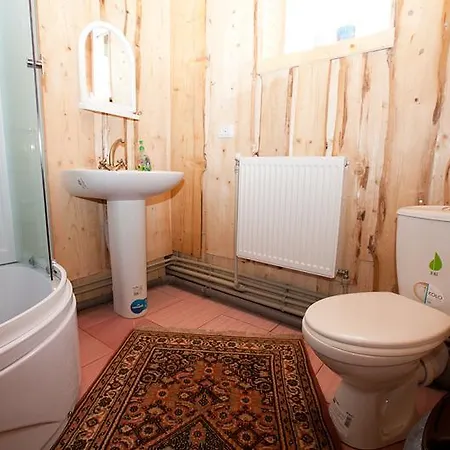 гуцульська оселя *