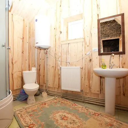 Lodge гуцульська оселя *