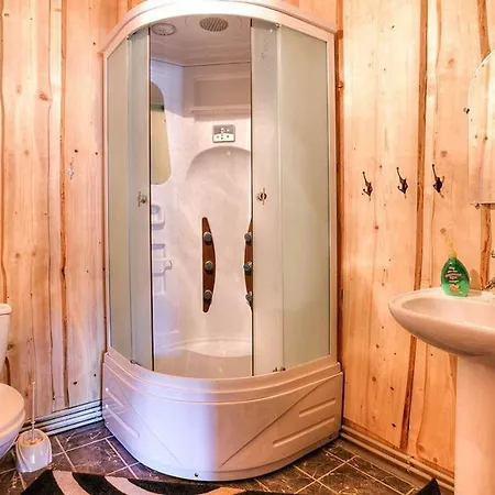 гуцульська оселя